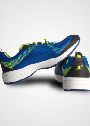sports shoe1
