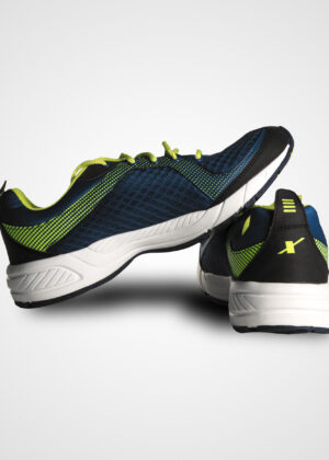 sports shoe3